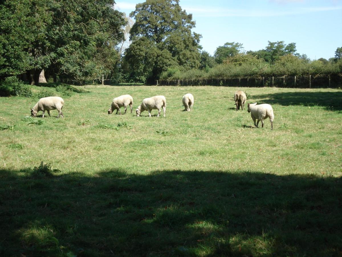 Stable - Milton Lilbourne Holiday home *